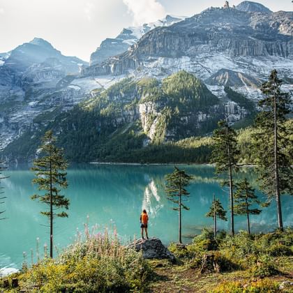 Hiker at turquoise Oeschinensee lake Hiker in red jacket standing on rocky outcrop overlooking brilliant turquoise Oeschinensee lake surrounded by snow-capped Alpine peaks and forest.