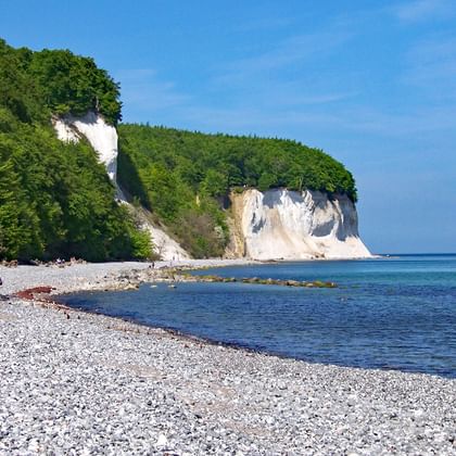Kreidefelsen auf Rügen