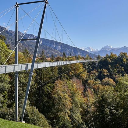 Stahlbrücke in der Natur
