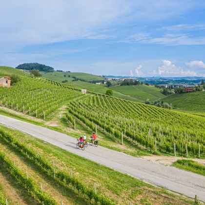 Radfahrer mit Langhe Panorama