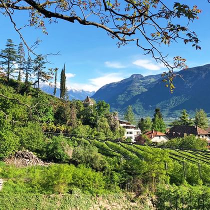 View of the village and the church of Nals, surrounded by vineyards and mountains