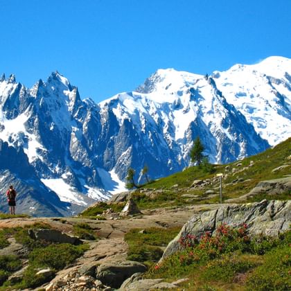 Beautiful hiking view to glaciers of Mont Blanc