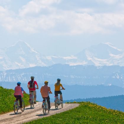Vier Velofahrer geniessen die Aussicht auf die Berge vom Emmental aus auf ihrer Velotour auf der Herzroute.