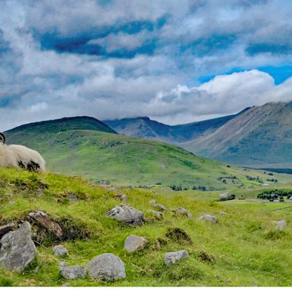 irland_header