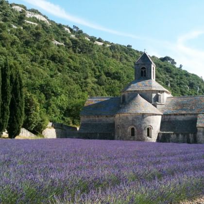Wandern durch Lavendelfelder in Frankreich