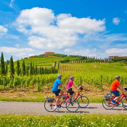 Eurobike Radfahrer zwischen den Weingärten