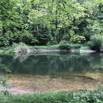 Blick auf eine ruhige, seichte Stelle der Doubs