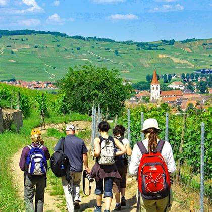 Groupe de randonneurs marchant sur un sentier de terre à travers les vignobles avec des collines et un village au clocher en arrière-plan.