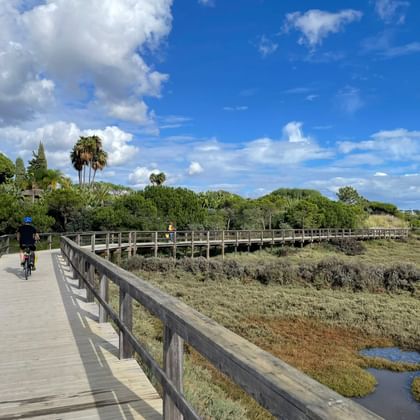Radfahrer auf Holzsteg durch den Naturpark Ria Formosa mit Feuchtgebieten, Palmen und blauem Himmel mit weißen Wolken.