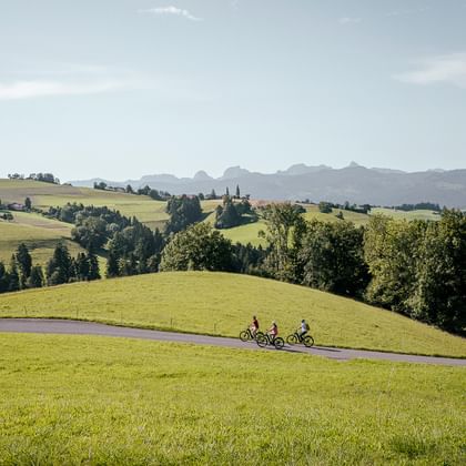 Three cyclists on e-bikes riding along a paved road through rolling green hills in the Bernese Oberland with mountains in the background.
