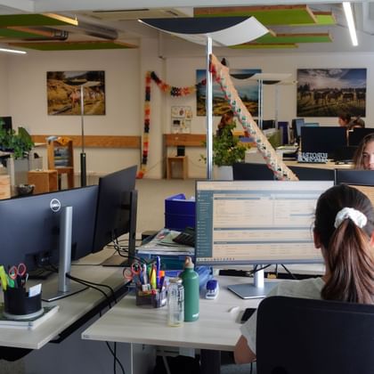 Moderner Büroraum mit Mitarbeitern an Schreibtischen mit Dell-Monitoren. Bunte Deckenplatten, Reiseposter an Wänden und Pflanzen schaffen hellen Arbeitsplatz.