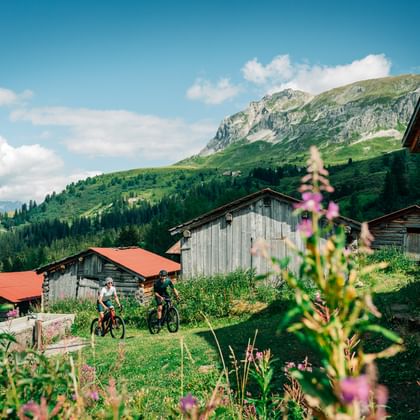 Two cyclists with bikes standing between traditional wooden alpine huts with pink wildflowers in foreground and mountain peaks in Graubünden.