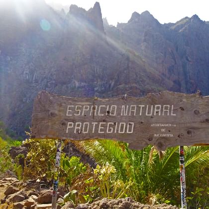 Einzigartige Natur beim Wandern auf Teneriffa