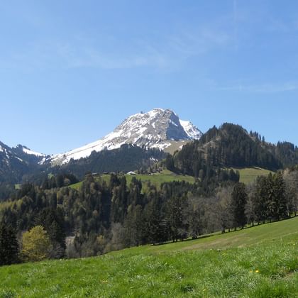 Blick auf die Berge während dem Alpenpanorama-Weg. Wanderferien mit Eurotrek.