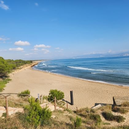 Breiter Sandstrand in Nordkatalonien mit türkisfarbenem Mittelmeer, grüner Vegetation links und fernen Bergen unter blauem Himmel.