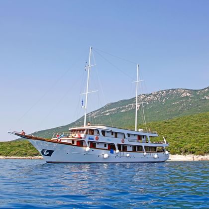 Die MS Amore segelt vor einer kroatischen Insel