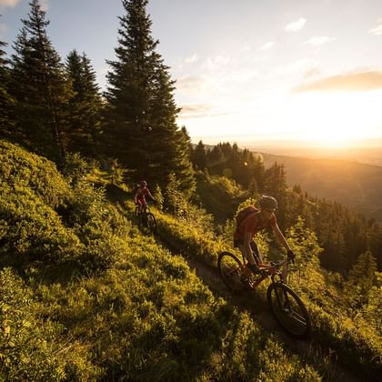 Ein Mountainbiker-Pärchen radelt auf einem engen Naturweg und hinter den Tannen der Sonnenuntergang.