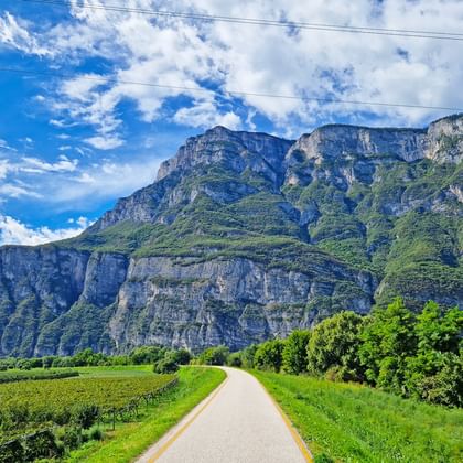 bolzano venice mountain view