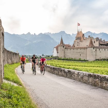 Drei Velofahrer mit dem Château d’Aigle im Hintergrund. Alpenpanorama-Route. Veloferien mit Eurotrek.