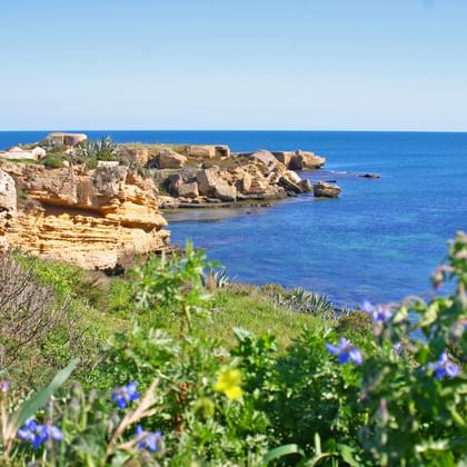 Rocky landscape Rocky landscape