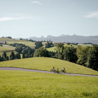 Velogruppe im Hügelland
