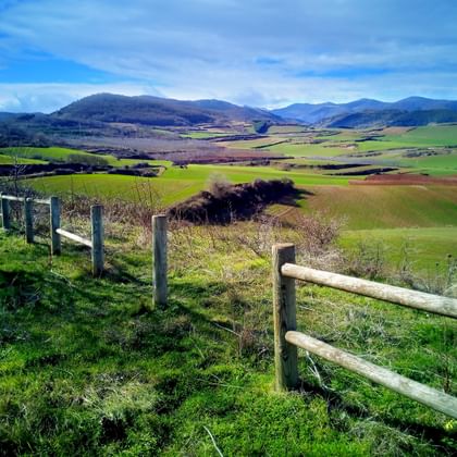 Felder Rioja Spanien