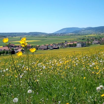 Val-de-Ruz est situé au milieu d'un paysage de prairies verdoyantes et de fleurs.