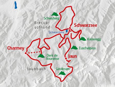 Freiburg Naturwunder 2024