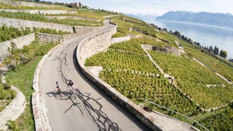 Auf einer Strasse über einem Rebberg fahren zwei Radfahrerinnen am Genfersee entlang.