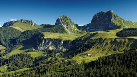 Grüne Hügel und Wälder führen zu drei Bergspitzen im Naturpark Gantrisch unter klarem blauen Himmel.