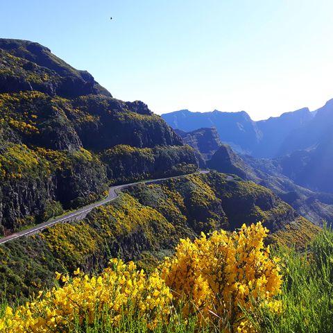 Strasse auf dem Berg der Blumeninsel Madeira.