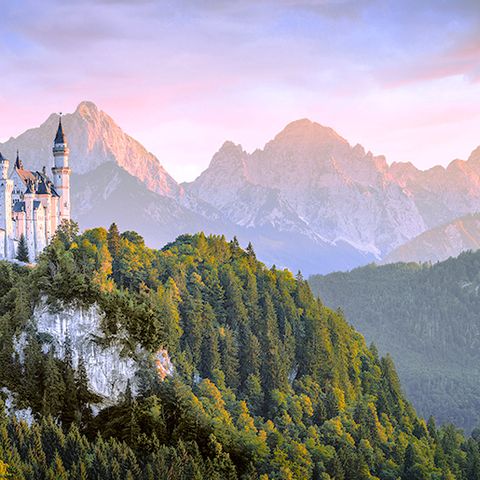 Das Schloss Neuschwanstein thront in einem wunderschönen Bergpanorama in Mitten von Wäldern. 