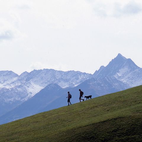 Wanderer mit einem Hund. Im Hintergrund eine atemberaubende Bergkulisse. Alpenpässe-Weg. Wanderferien mit Eurotrek.
