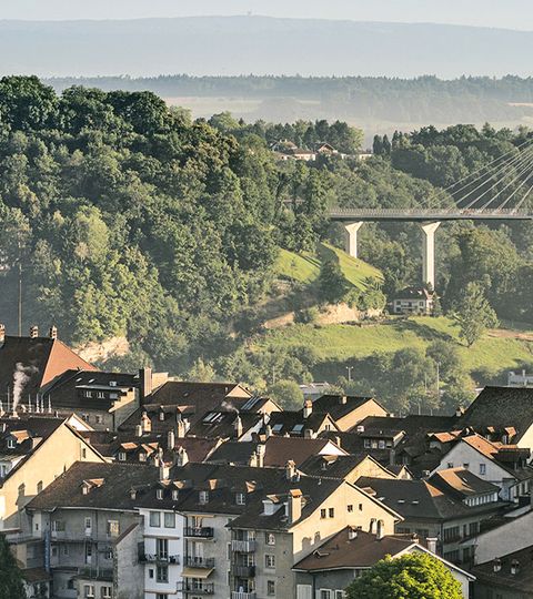 Fribourg mit ihrer bekannten Brücke im Hintergrund.