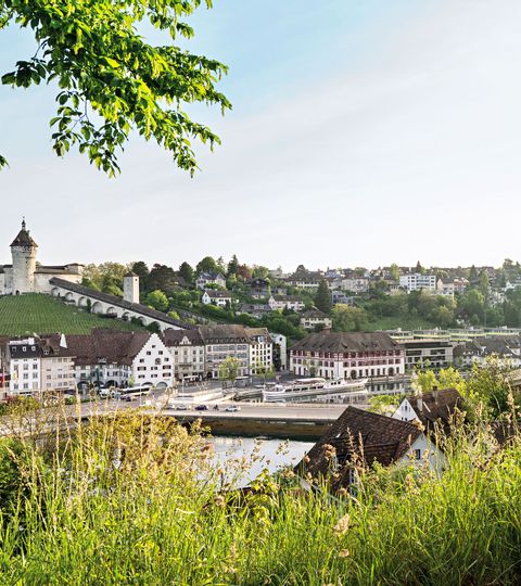 Stadt Schaffhausen am Rhein