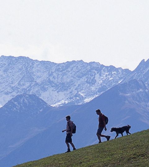Zwei Wanderer mit Hund auf Wanderung in den Bergen