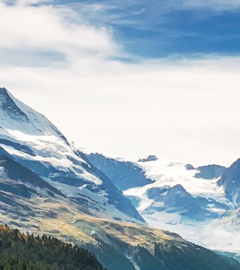 Das Schneebedekte Matterhorn vor einer grünen Alenwiesen-Landschaft.
