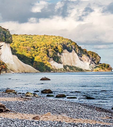 Rechts ein Steinstrand unterhalb der Kreidefelsen. Am Strand steht ein ausgetrockneter Baum. Auf der rechten Seite die Ostsee unter einem hellen bewölkten Himmel.