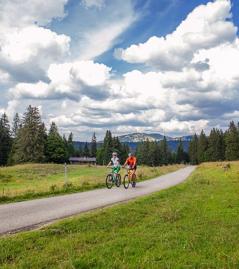 Deux cyclistes sur la piste cyclable du parc naturel dans le Jura.