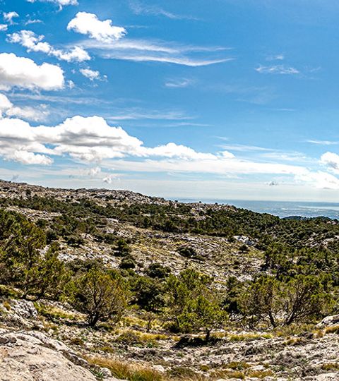 Karges Gebiet der Serra de Tramuntana in Mallorca. 
