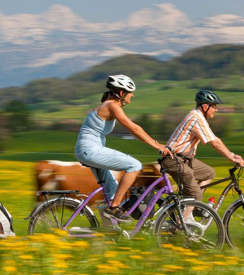 <br/>A couple of parents are cycling briskly through a meadow landscape. A trailer is attached to the bike for the children.