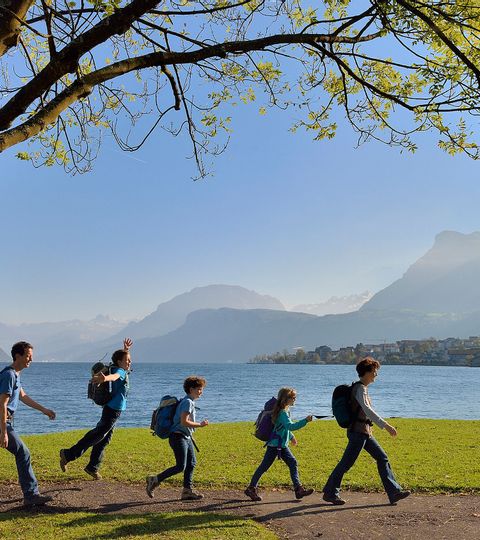 Eine 5-Köpfige Wander-Familie spaziert dem Ufer am Vierwaldstättersee nach.