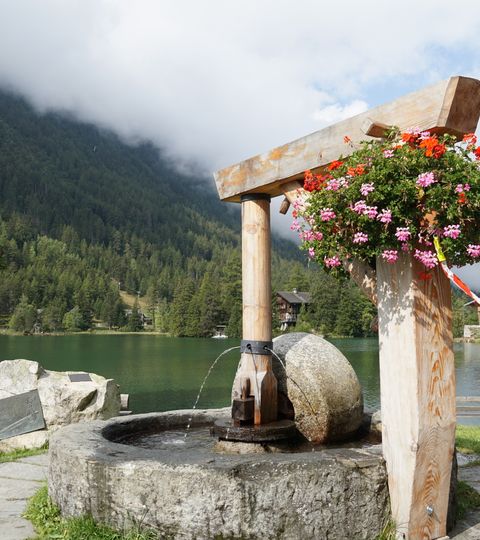 Ein mit Geranien bepflanzter, runder Brunnen vor dem See.