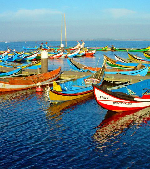 Bunte Fischerboote im Hafen von Aveiro