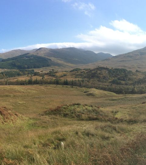 Panoramabild mit Blick auf den West Highland-Way.