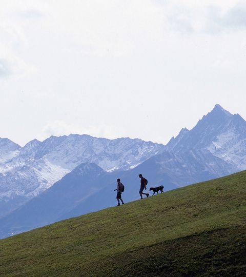 Wanderer mit einem Hund. Im Hintergrund eine atemberaubende Bergkulisse. Alpenpässe-Weg. Wanderferien mit Eurotrek.