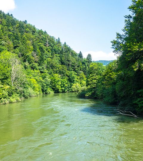 Grüner Fluss Doubs