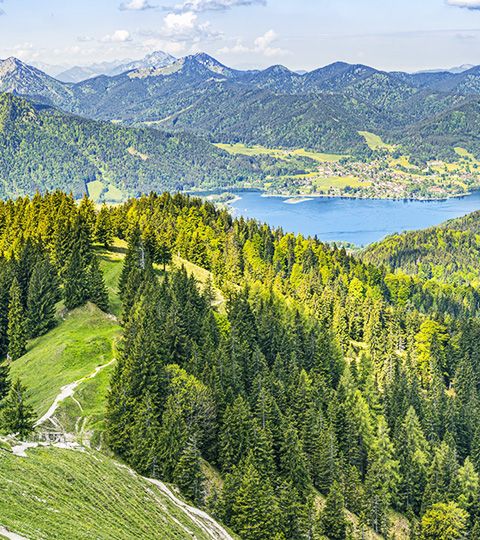 Grüne Hügellandschaft mit Bäumen und Tegernsee im Hintergrund. Aktivferien mit Eurotrek.