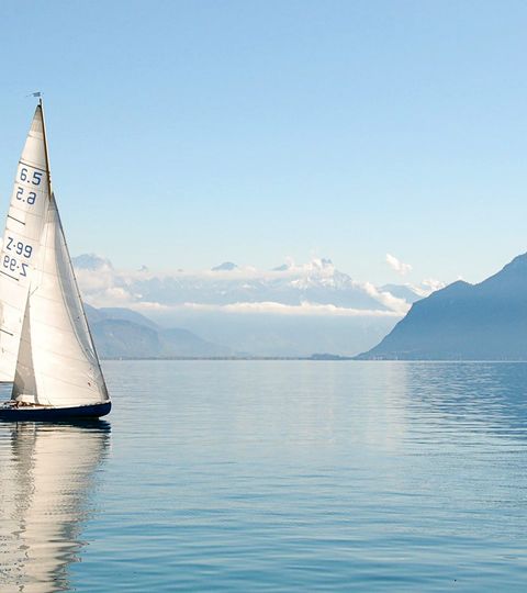 Ein Segelboot fährt an einem sonnigen Tag auf dem Genfersee.