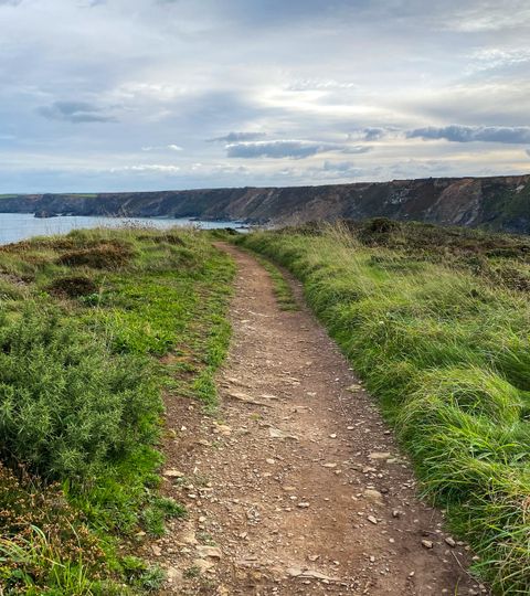 Wanderweg hoch oberhalb der Küste in North Cliffs.
